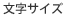 文字サイズ